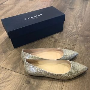 Cole Haan Tartine Skimmer flats in Silver Glitter